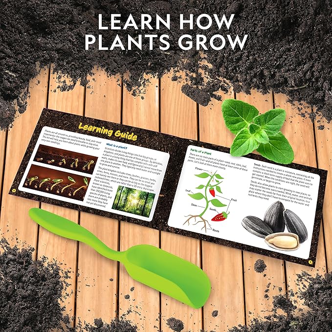 NATIONAL GEOGRAPHIC Herb Growing Kit for Kids - Decorate 3 Pots with Paint and Stickers, Kids Gardening Set, Arts and Crafts for Kids Ages 8-12, Garden Kit for Kids, Birthday Gifts